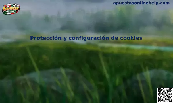 Protección y configuración de cookies en México